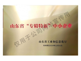 2021-山東省專精特新企業(yè)